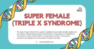 The study of super females from a genetic standpoint has provided valuable insights into the complex interplay between genes and phenotype. The presence of an additional X chromosome in super females leads to a unique genetic profile, influencing the expression and regulation of various genes throughout the body
