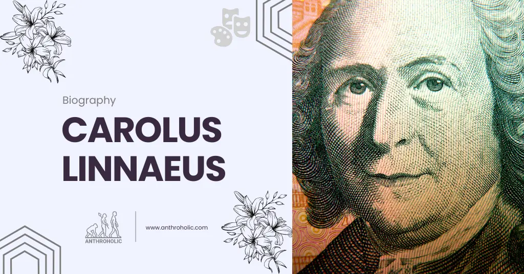Carolus Linnaeus Biography by Anthroholic