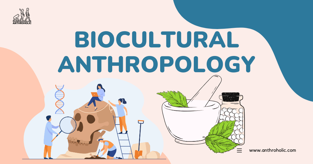 Biocultural Anthropology by Anthroholic