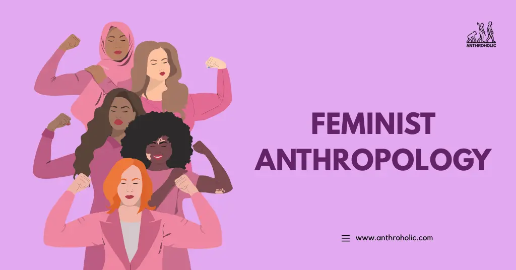 Feminist Anthropology By Anthroholic