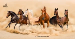 The Anthropology of Horse Racing How the Sport Reflects Class, Culture and Human Identity Across Civilizations by anthroholic (2)