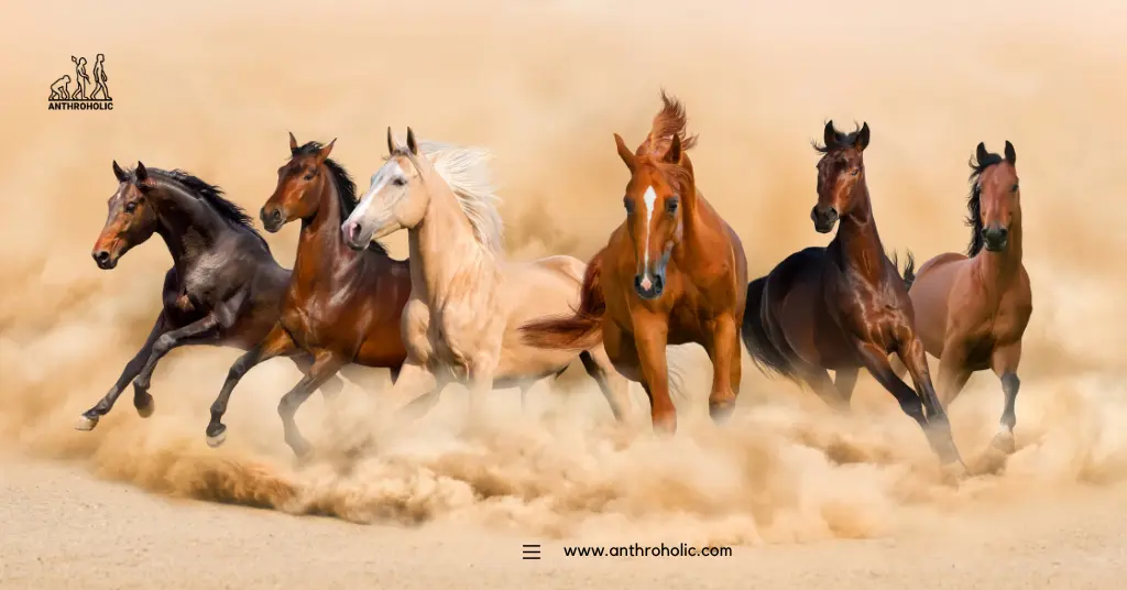 The Anthropology of Horse Racing How the Sport Reflects Class, Culture and Human Identity Across Civilizations by anthroholic (2)